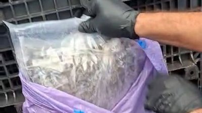Хванаха камион със 100 кг кокаин и 200 кг марихуана в Бургас