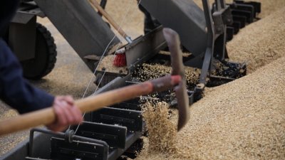 Световните цени на храните най-високи от 2022 г. насам