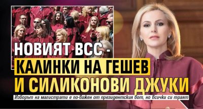 Новият ВСС - калинки на Гешев и силиконови джуки