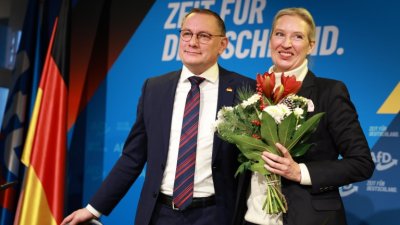 КОШМАР: Алтернатива за Германия трупа още електорат 