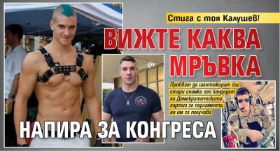 Стига с тоя Калушев! Вижте каква мръвка напира за Конгреса