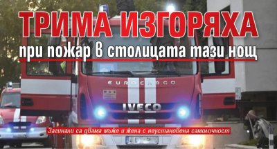Трима изгоряха при пожар в столицата тази нощ