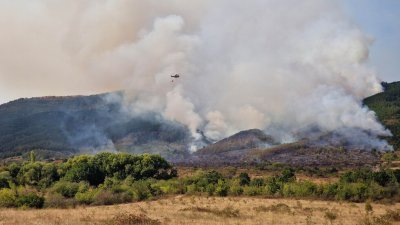 Оставиха за постоянно в ареста мъжа, обвинен за пожара в Димовци