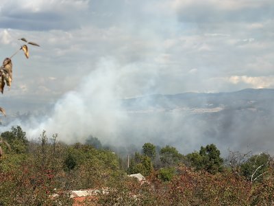 Кой опожари вилна зона &bdquo;Отдих&rdquo;?