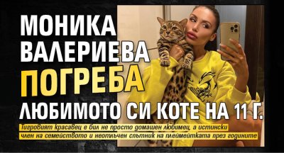 Моника Валериева погреба любимото си коте на 11 г.