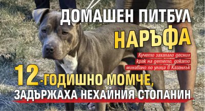 Домашен питбул наръфа 12-годишно момче, задържаха нехайния стопанин 