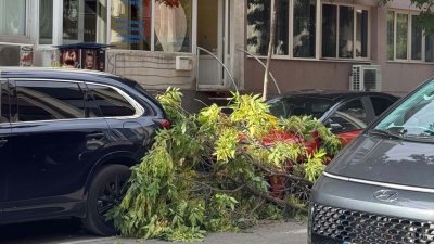 Клон се стовари на сантиметри от майка с малко дете във Варна