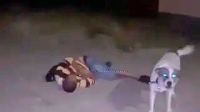 Човек лежи в безсъзнание край жилищен блок в София, а кучето му отчаяно търси помощ