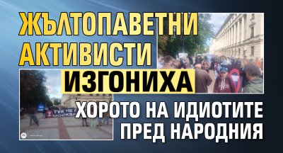 Жълтопаветни активисти изгониха хорото на идиотите пред Народния