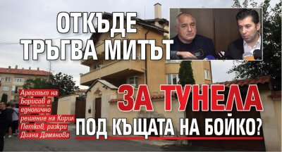 Откъде тръгва митът за тунела под къщата на Бойко?
