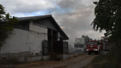 Спасиха от пожар 300 телета в Хасковско