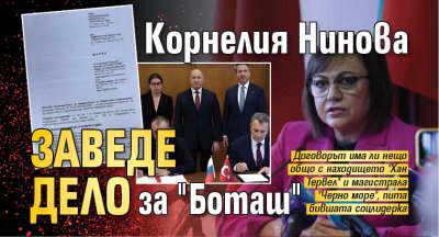 Корнелия Нинова заведе дело за "Боташ"