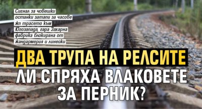 Два трупа на релсите ли спряха влаковете за Перник?