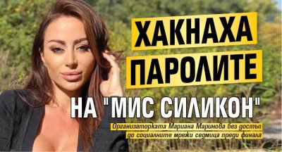Хакнаха паролите на "Мис Силикон"