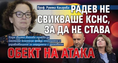 Проф. Румяна Коларова: Радев не свикваше КСНС, за да не става обект на атака