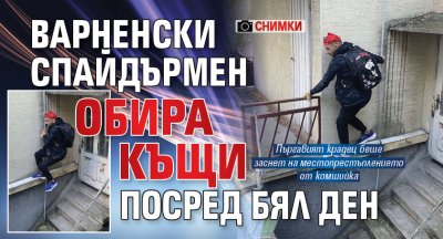Варненски спайдърмен обира къщи посред бял ден (СНИМКИ)