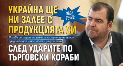 Явор Гечев: Украйна ще ни залее с продукцията си след ударите по търговски кораби