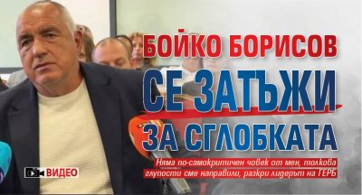 Бойко Борисов се затъжи за сглобката (ВИДЕО)