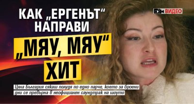 Как &bdquo;Ергенът&ldquo; направи &bdquo;Мяу, мяу&ldquo; хит (Видео)
