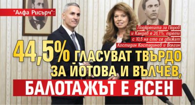 "Алфа Рисърч": 44,5% гласуват твърдо за Йотова и Вълчев, балотажът е ясен