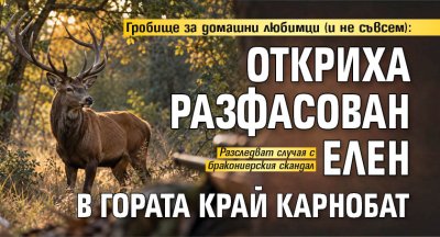 Гробище за домашни любимци (и не съвсем): Откриха разфасован елен в гората край Карнобат
