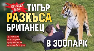 Шокиращо видео: Тигър разкъса британец в зоопарк 