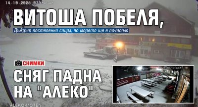 Витоша побеля, сняг падна на "Алеко" (СНИМКИ)