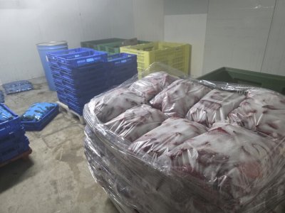 Унищожават над 1 тон храни