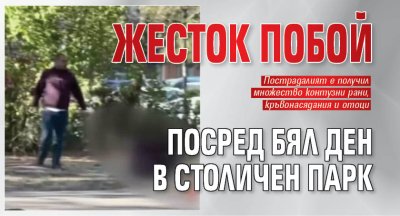 Жесток побой посред бял ден в столичен парк