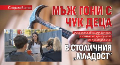 Страховито: Мъж гони с чук деца в столичния "Младост"