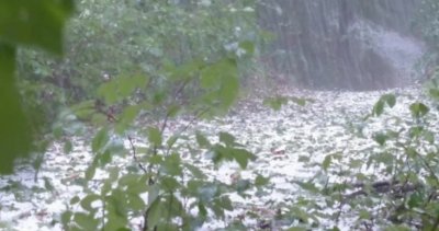 Няма поражения и щети след падналата градушка в Лясковско