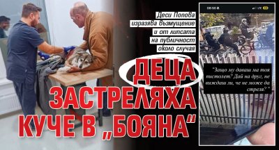 Деца застреляха куче в &bdquo;Бояна&ldquo;
