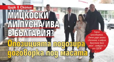 Цирк в Скопие: Мицкоски ли пусна Ива в България? Опозицията подозира договорка под масата