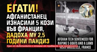 ЕГАТИ! Афганистанец изнасили 5 кози във Франция, дадоха му 2,5 години пандиз