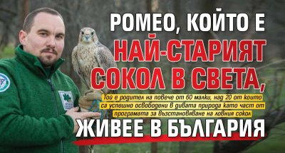 Ромео, който е най-старият сокол в света, живее в България