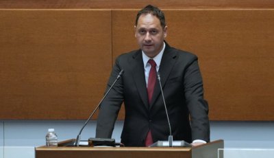 Витанов: Очевидно темата за помилването не е важна за самата опозиция