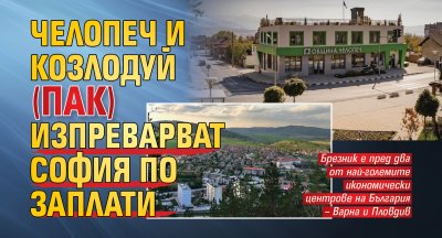 Челопеч и Козлодуй (пак) изпреварват София по заплати