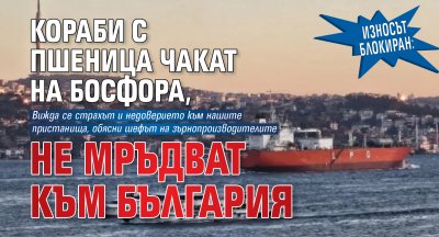Износът блокиран: Кораби с пшеница чакат на Босфора, не мръдват към България