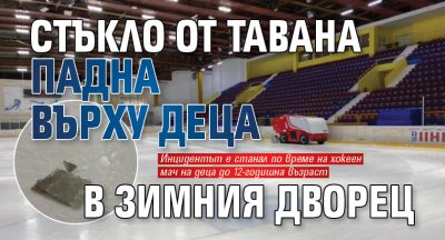 Стъкло от тавана падна върху деца в Зимния дворец 