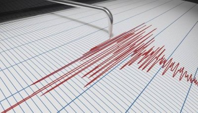 Леко земетресение стресна Благоевград