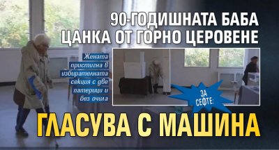 За сефте: 90-годишната баба Цанка от Горно Церовене гласува с машина 