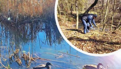Почистват и възстановяват езерата в Южния парк 