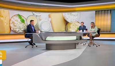 Срещу скъпите мляко, сирене и кашкавал: 120 предприятия с обща продукция заедно с веригите? 