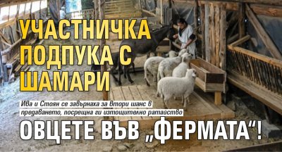 Участничка подпука с шамари овцете във &bdquo;Фермата&ldquo;!