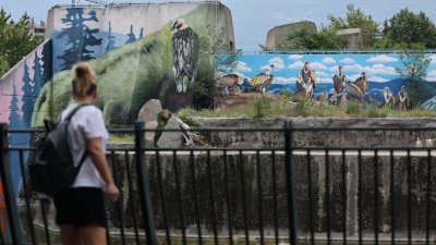 В софийския зоопарк искат по-високи заплати