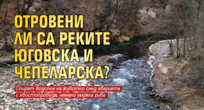 Отровени ли са реките Юговска и Чепеларска?