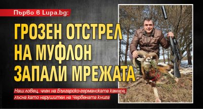 Първо в Lupa.bg: Грозен отстрел на муфлон запали мрежата