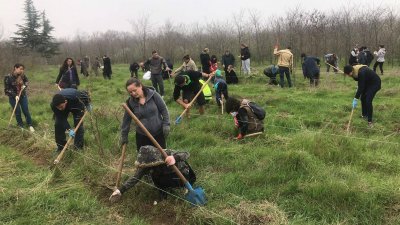 Похвално! Залесяват 9400 декара гори, наливат 10,3 млн. лева