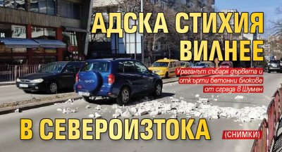 Адска стихия вилнее в Североизтока (СНИМКИ) 