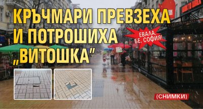 ЕВАЛА, БЕ, СОФИЯ! Кръчмари превзеха и потрошиха „Витошка” (СНИМКИ)